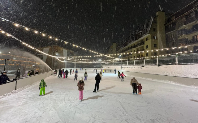 Bakuriani Hills Apartment