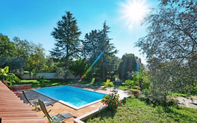 Apartment Albina Umag