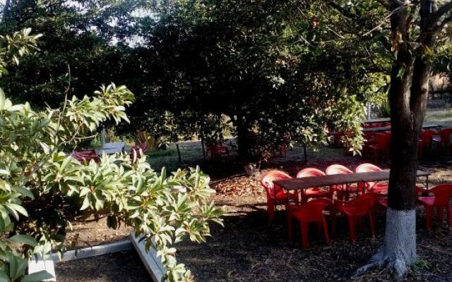 Ecowoods Agrotourism