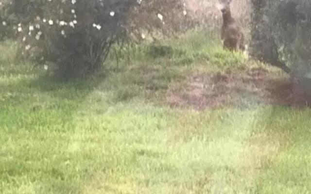 Home Comforts in Peaceful 2 Acres