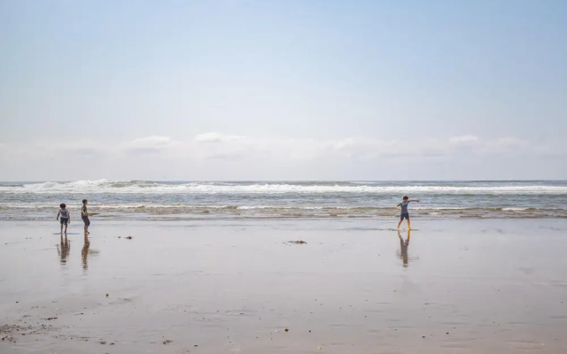 Sea Here