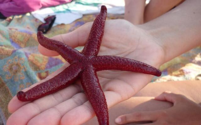 I Giardini di Brucoli