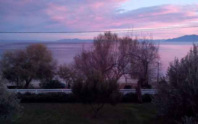 V.K.Seaside Villa