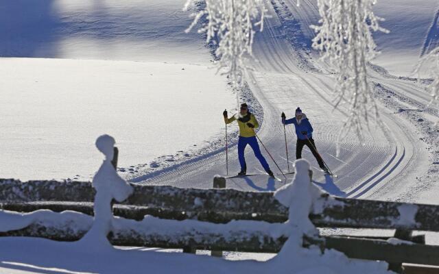 Luxury Chalet in Ennsling near Schladming with Private Spa