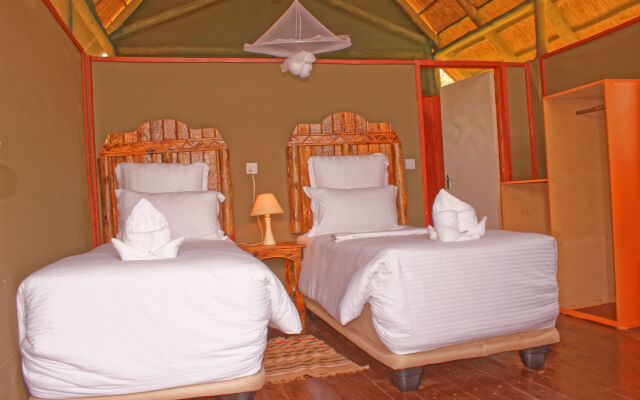 Lion Roars Lodge