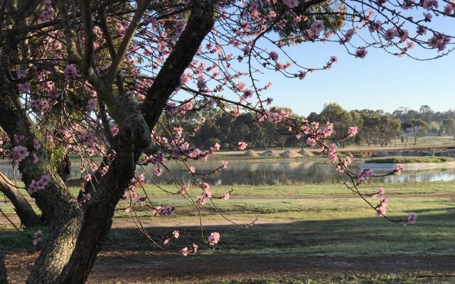 Yellow Gum Bed and Breakfast