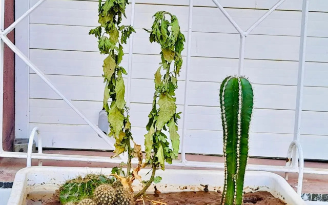 Villa Rachid et Jamila