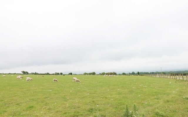 Hafod