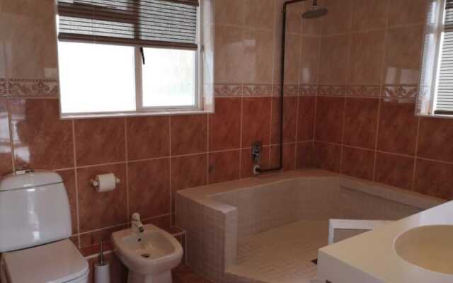 Watching Waves Heron Chase