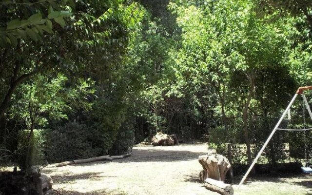 Cabañas del Bosque