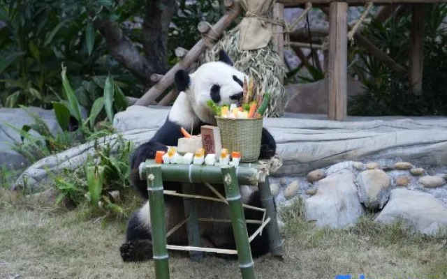 Xiamen Lingling Giraffe Manor Hotel