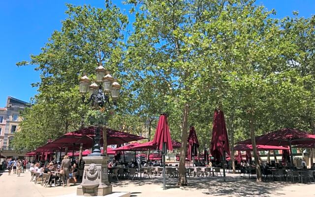 La Rosela de la Cité