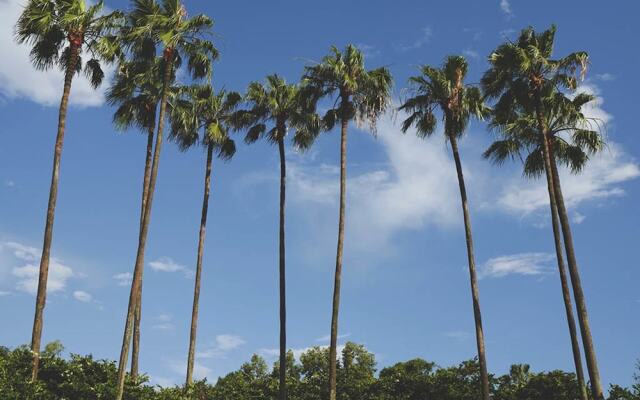 W216 - 5 Bedroom Luxury Villa Near Disney