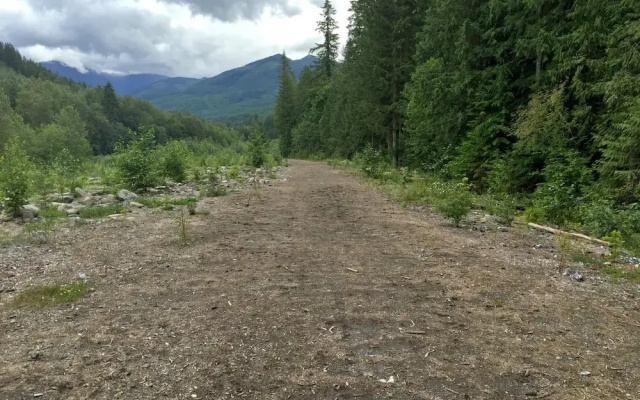 Mt Baker Lodging Cabin 81 - Sleeps 4