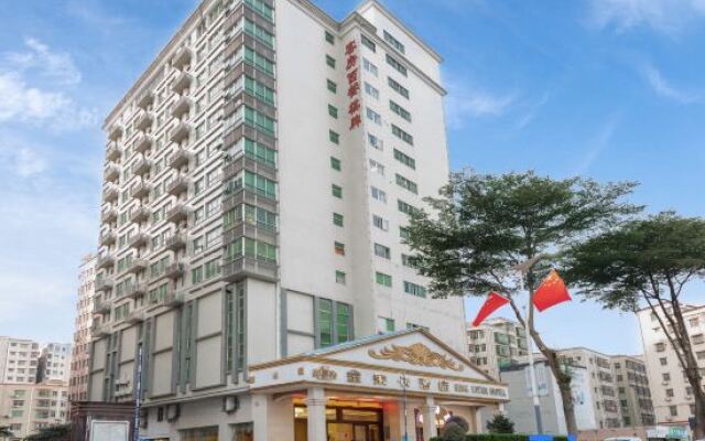 The King Lycra Hotel