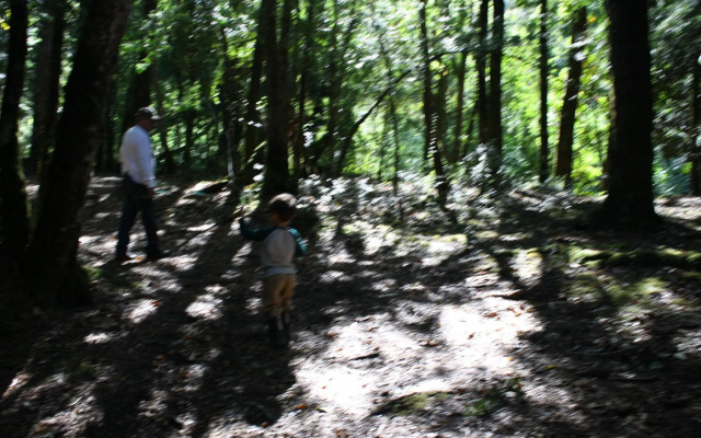 Cabaña Aroma de Campo