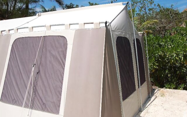 Rhincodon Typus Glamping