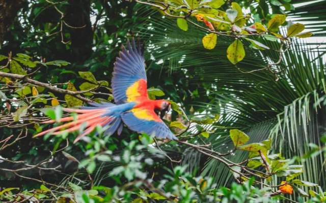 Palapa Hut Hostel & Camping