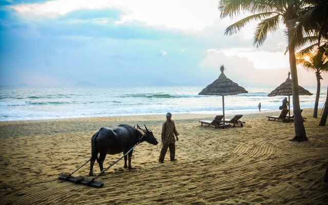 Palm Garden Beach Resort and Spa