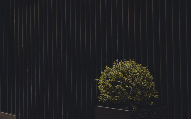 Santa María Briones