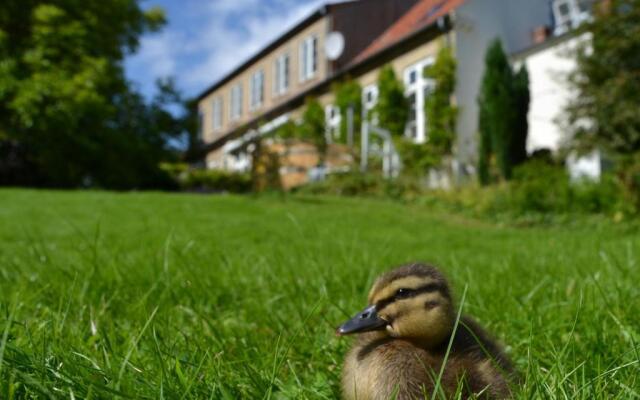 Det Gamle Apotek Bed & Breakfast