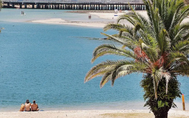 Little Palms by Burleigh Letting Co