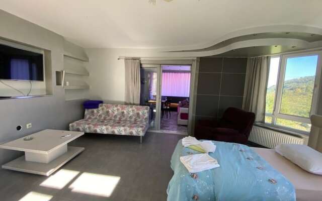 Cosy Park Apartment