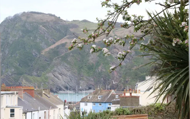 10 Cove View