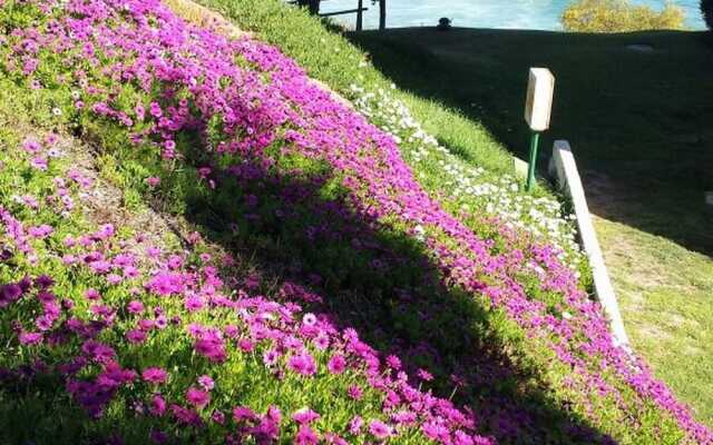 Departamento para 10 personas , Puerto Velero