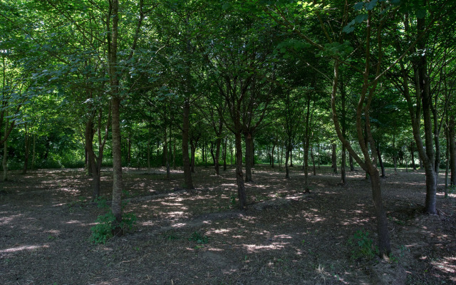 Casolare La Quercia