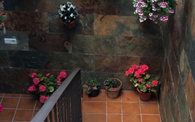 Apartamentos La Flor