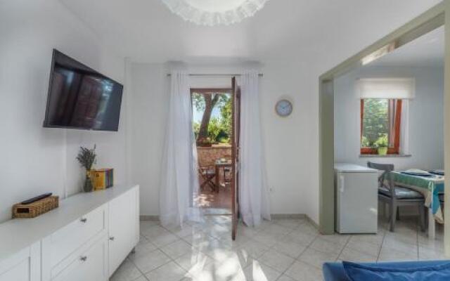 Apartment Nino 255