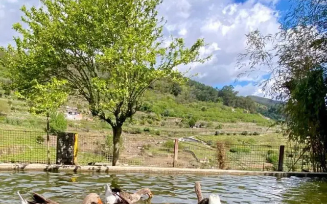Private Douro- Quinta das Susandas