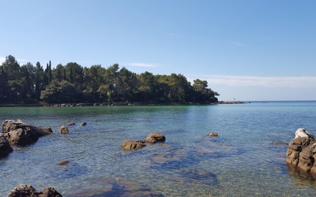 Apartmani Jasmina Rovinj