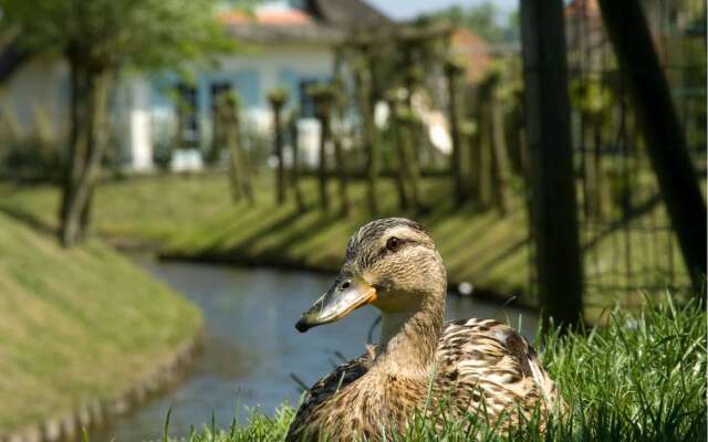 Thatched Villa With Dishwasher, sea at 1 km. in Domburg