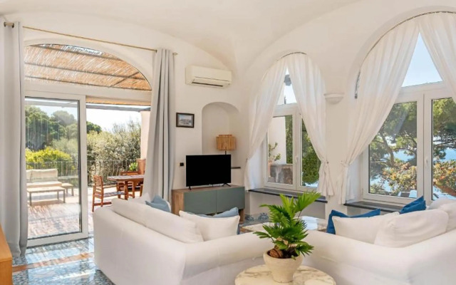 Oliveto Capri