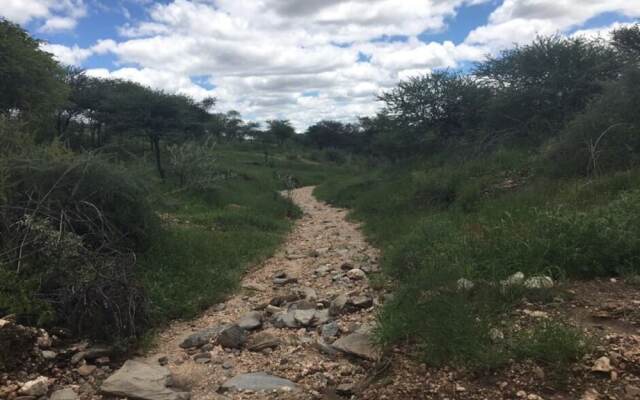 Ripley`s Self-Catering Camp Windhoek