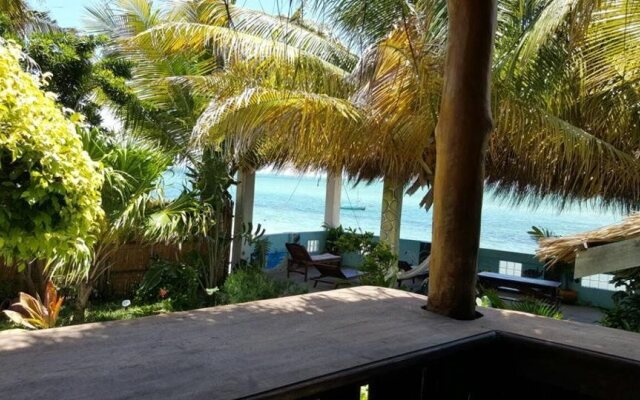 Dolphin Dhow Beach Safaris