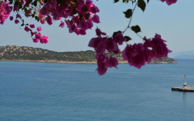 Angeliki's Apartments
