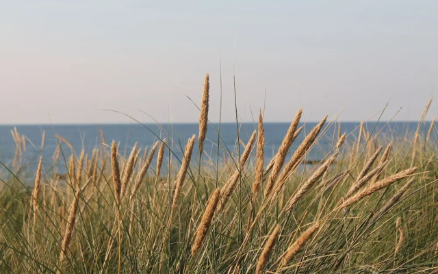 Geraumige Wohnung mit Garten in Zingst