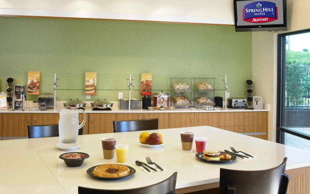SpringHill Suites by Marriott St. Louis Airport/Earth City