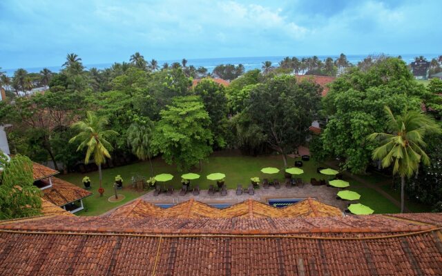 Palms, Mount Lavinia