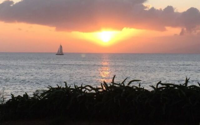 Maui Beach House