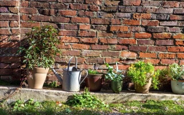 Bridport Garden Suite