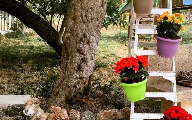 Social Farm La Maddalena