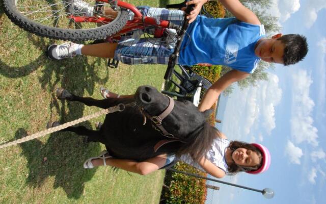 La Piaggiola degli Olivi