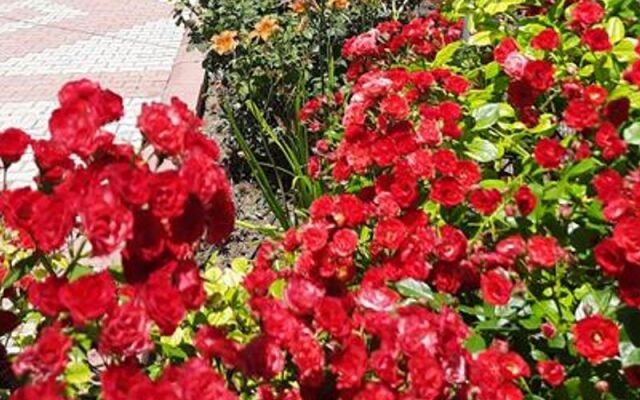 Salda Apart Pansiyon