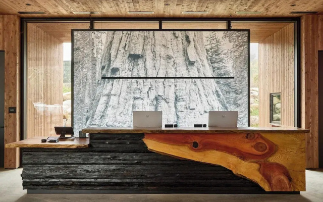 AutoCamp Sequoia
