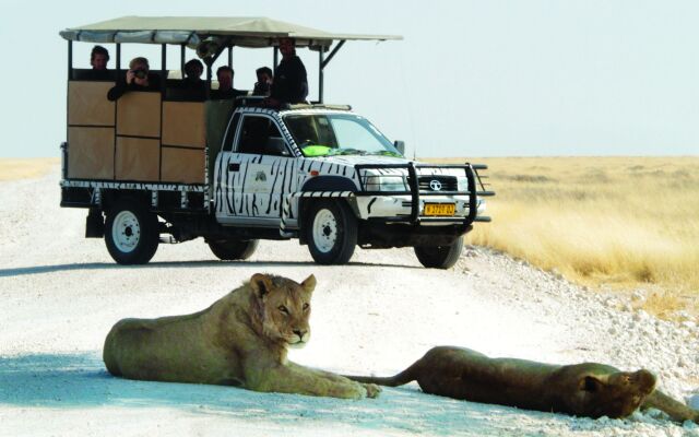 Etosha Safari Camp