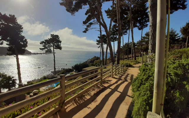 Pinares del Canelillo